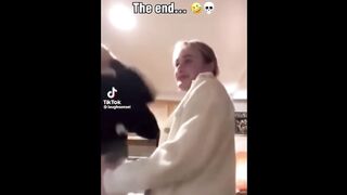 FUNNY CAT MEMES COMPILATION OF 2023 V1