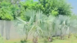 #Follow me#Foryou#Mianwali Niazi