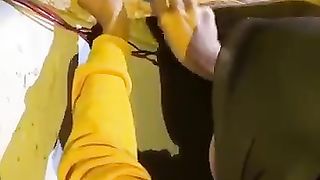 Panen_sarang_burung_Walet_