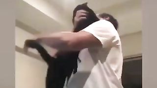 Cats love 3