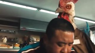 Chickens movie