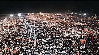 Pti tigers 4