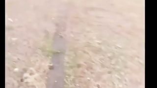 Scariest video that will make you scream ????  #viral #trending #subsrcibe