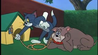 Tom and jerry Tom is pro ????