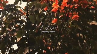 A beautiful romantic song, بس اینا نیڑے رکھ لے کہ جیوندا رہ جاواں????