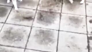 Ketika sang bos mulai menunjukan taring nya