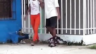 Fake makry pran spider prank
