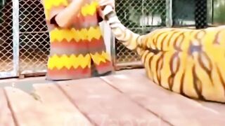 Amazing video |Respect|Amazing Skill 3