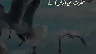 new video 6