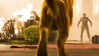 Man action with lion