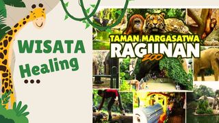 Obat dari Alam: Healing di Kebun Binatang Ragunan