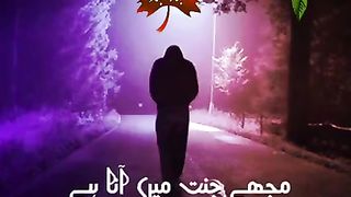 Tarana 5