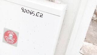 Cute cat 58