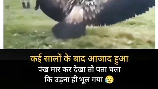 #shorts FUNNY FUN VIDEOS 345 10
