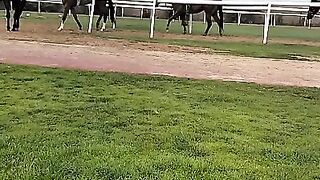 Start Riding for making ready to going on racing
