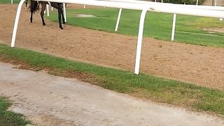 Early morning riding by our horse's