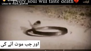Kulu nafsee zaiqa tul moat