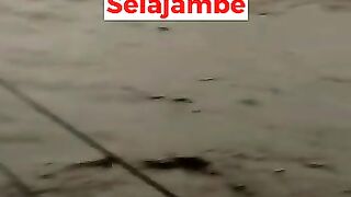 Fray for selajambe