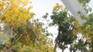 Beautiful Islamabad 3