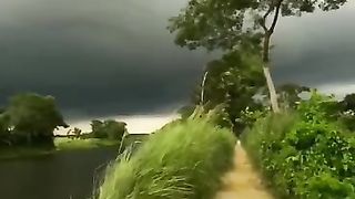 Painting like video of Nature
