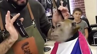 funny hair cutting