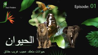 Al-Haiwaan Animal Facts Episode 01 English_1080p.
