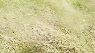 Village life 26