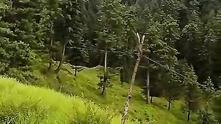 Nature 94