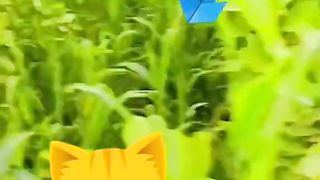 Funny video ???? episode 1