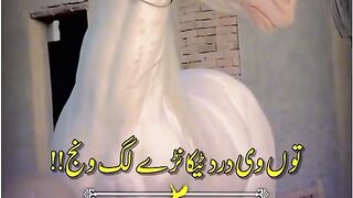 Funny video