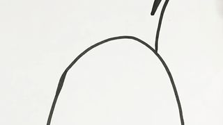 panapple drawing
