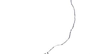 hain drawing