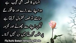 Aqwale zareen 3