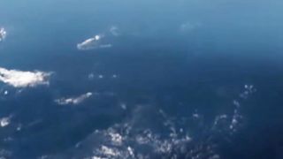 Reviving the Living Ocean: Join the Global Movement for Change