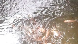 Feeding m fish