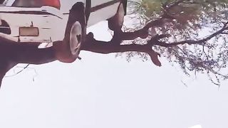Selab ki sort hall dekho