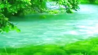 Telwaat Quraan paak