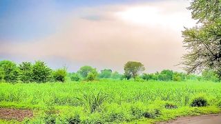 Village life  check beautiful village live