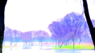 landscape 5