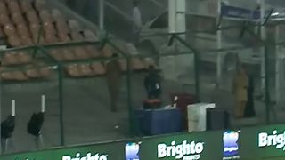 Cricket ground best shots