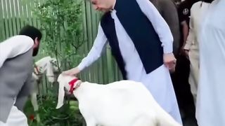 Imran Khan Exclusive Video