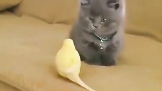 Some weird yellow dude video