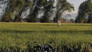 OLD MONTOR CINEMATICS