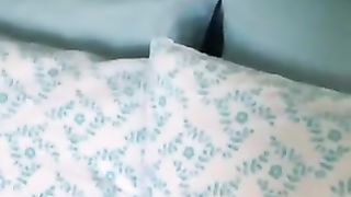 A cat that hides easily