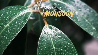 Happy monsoon