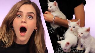Emma Watson plays with Kittens(while Answering Fan Questions)