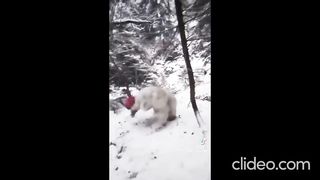 UNBELIEVABLE! ???? Meme Video: You WON'T Believe What Happens Next! ????????