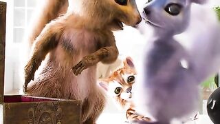 Funny video
