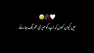 funny video 237