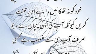 Zerri_Writes 5